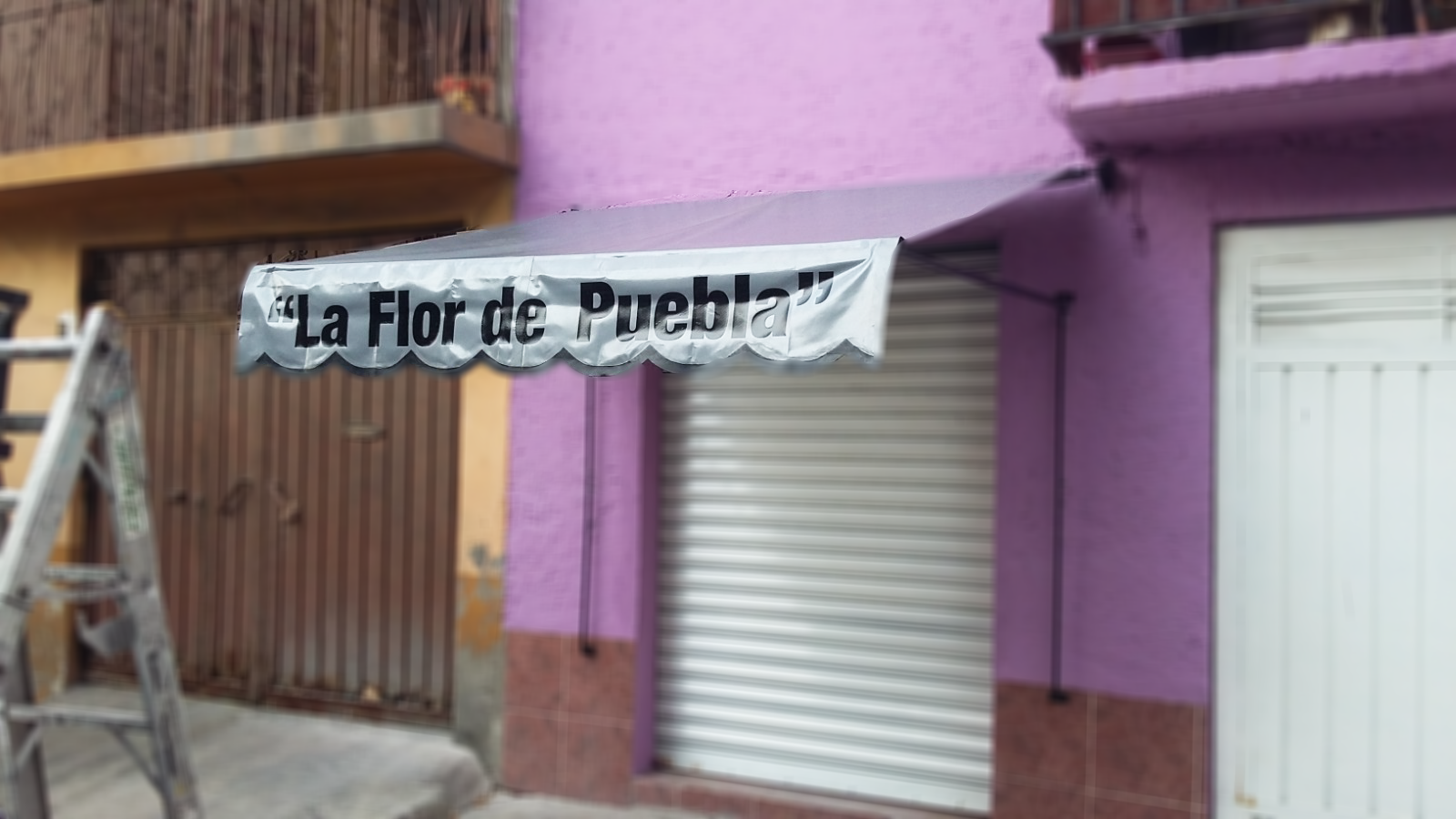 la flor de puebla